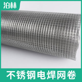 不銹鋼電焊網(wǎng)